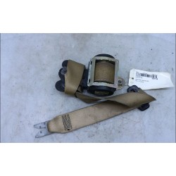 CEINTURE AVG