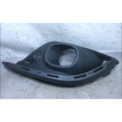 GRILLE D PARE-CHOC AV