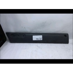 PROTECTION PORTE AV G