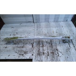 RENFORT PARE-CHOC AR