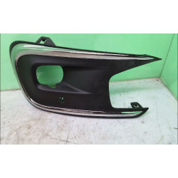 GRILLE D PARE-CHOC AV