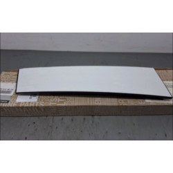 PROTECTION PORTE AR G