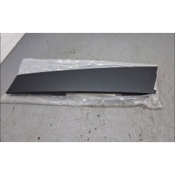 PROTECTION PORTE AV D